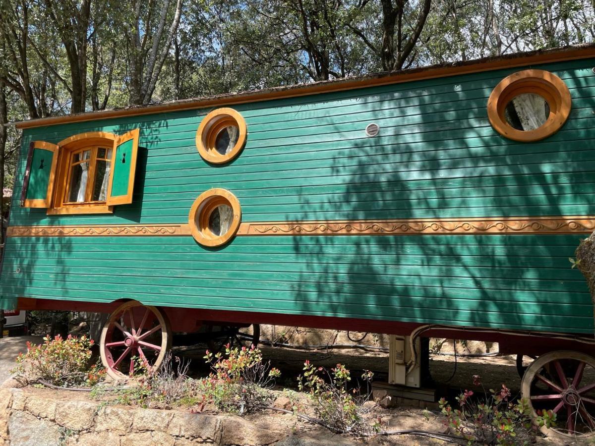 Camping Les Oliviers Porto  Esterno foto